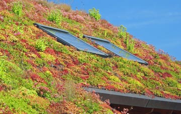 Snatchwood living roof systems